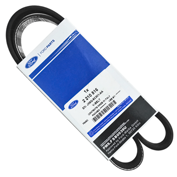 Focus 1.5 TDCI (6PK991) V Kayışı 2018-2023 | ORIJINAL