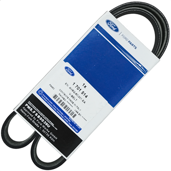 Mondeo 1.6 Dizel V Kayışı 2015-2018 | ORIJINAL