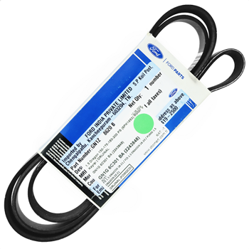 Focus 1.5 Dragon 150-175-180-200 PS (6PK1693) Motor V Kayışı 2018-2020 | ORIJINAL