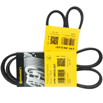 Focus 1.6 Benzinli 'V'' Vantilatör Kayış (2 adet Kayış) Kiti 2005-2011 | CONTINENTAL